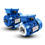 Standard AC motors